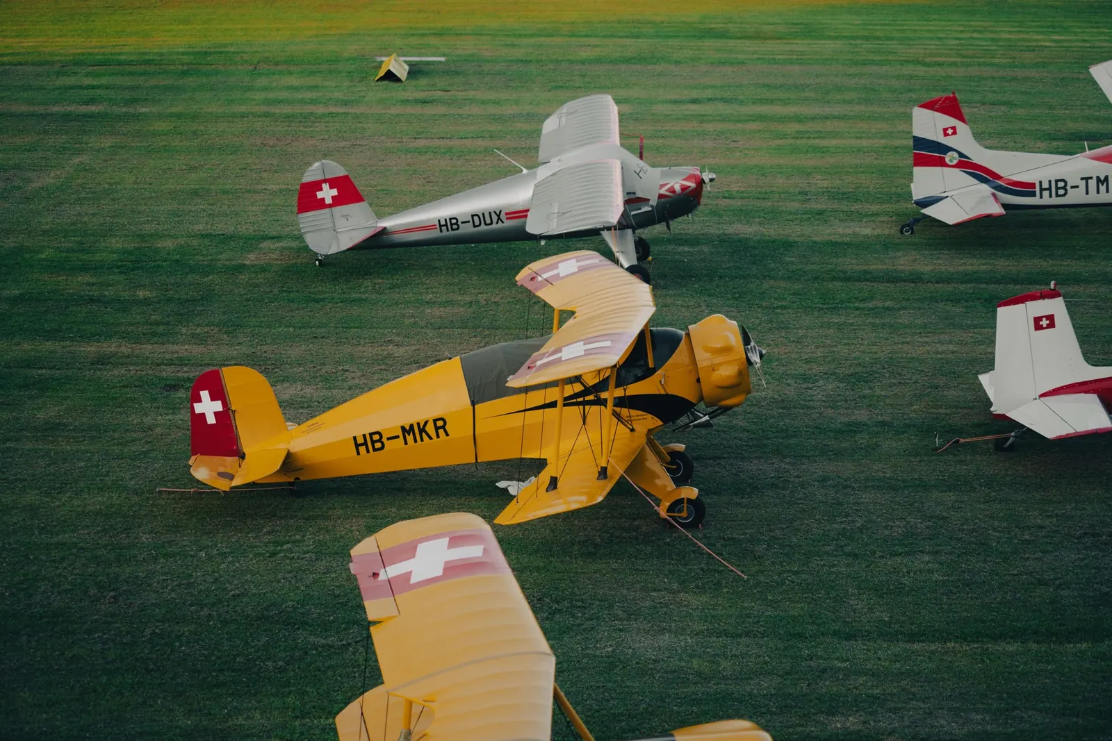 Doppeldecker auf einer Graspiste, von oben fotografiert
